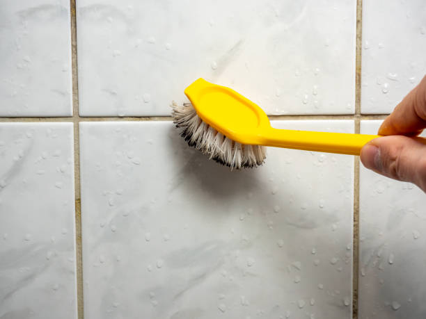 Best Localized Mold Remediation (e.g., coastal areas, humid climates) in Poynette, WI