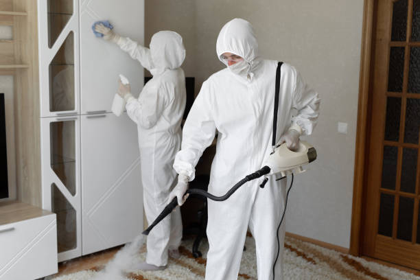Best Industrial Mold Remediation in Poynette, WI