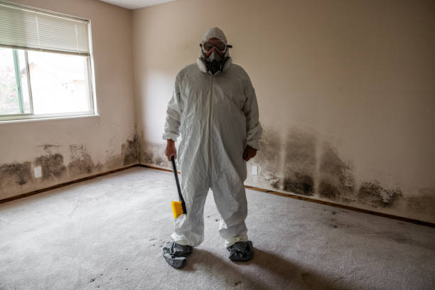 Best Bathroom Mold Remediation in Poynette, WI